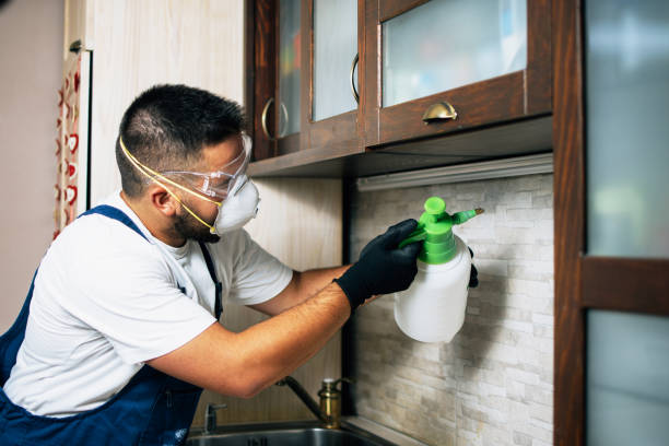 Best Affordable Pest Control Services  in Xenia, OH