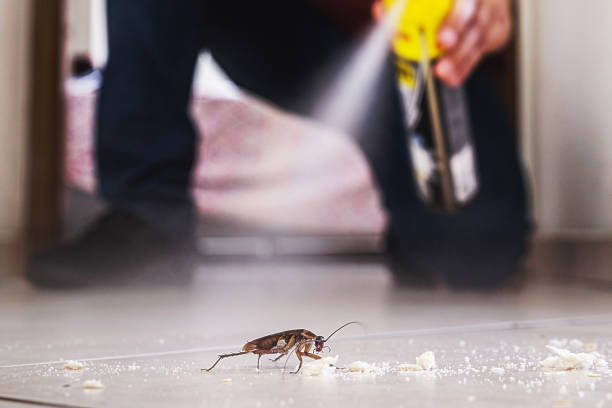 Best Commercial Pest Control Services  in Xenia, OH